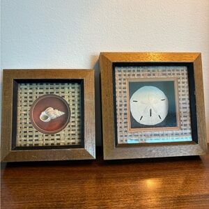 Framed Coastal Shell Art Pair in Brown Wood